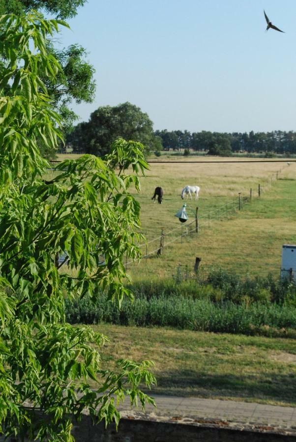 Ferienwohnung Auf Pferdehof Dreetz Exterior foto